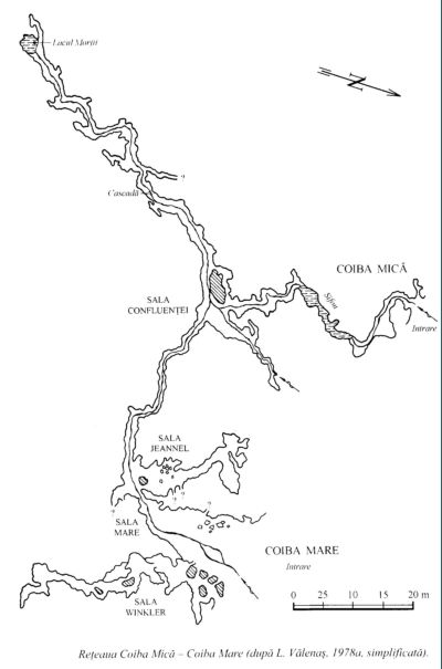 Reteaua Coiba Mica - Coiba Mare