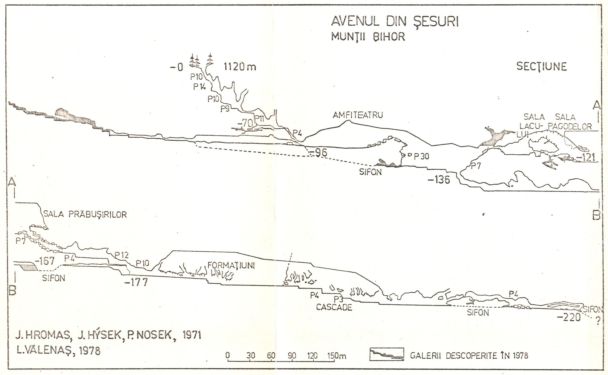 Harta avenului din Şesuri, după Vălenaş, 1978